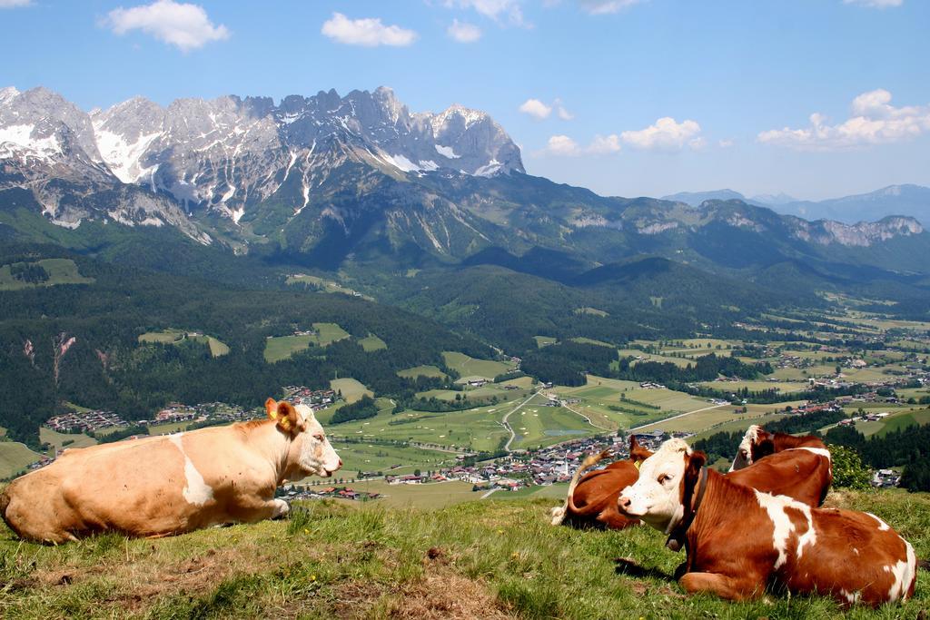 Cordial Sport Hotel Going Going am Wilden Kaiser 外观 照片