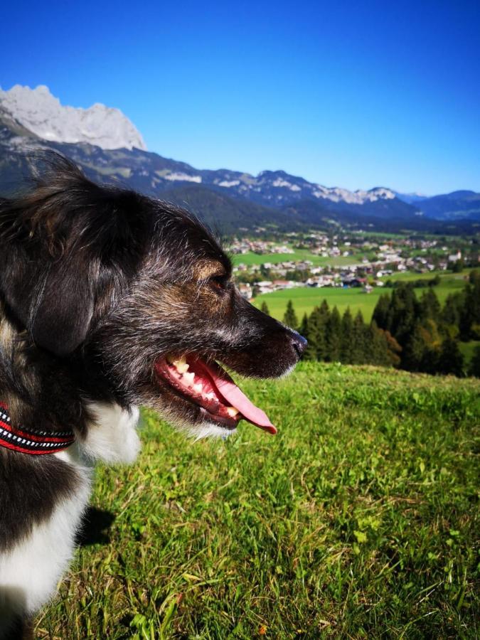 Cordial Sport Hotel Going Going am Wilden Kaiser 外观 照片
